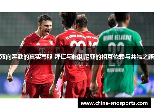 双向奔赴的真实写照 拜仁与帕利尼亚的相互依赖与共赢之路