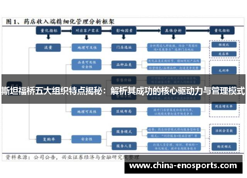 斯坦福桥五大组织特点揭秘：解析其成功的核心驱动力与管理模式