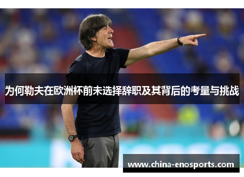 为何勒夫在欧洲杯前未选择辞职及其背后的考量与挑战