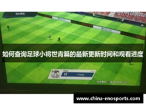 如何查询足球小将世青篇的最新更新时间和观看进度