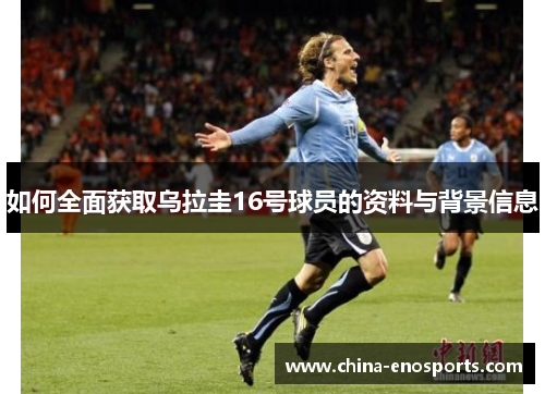 如何全面获取乌拉圭16号球员的资料与背景信息