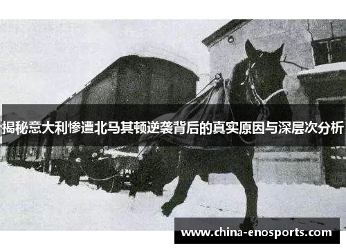 揭秘意大利惨遭北马其顿逆袭背后的真实原因与深层次分析