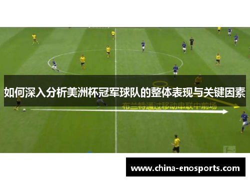 如何深入分析美洲杯冠军球队的整体表现与关键因素